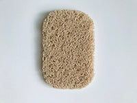 Soap Saver